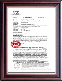 SGS
